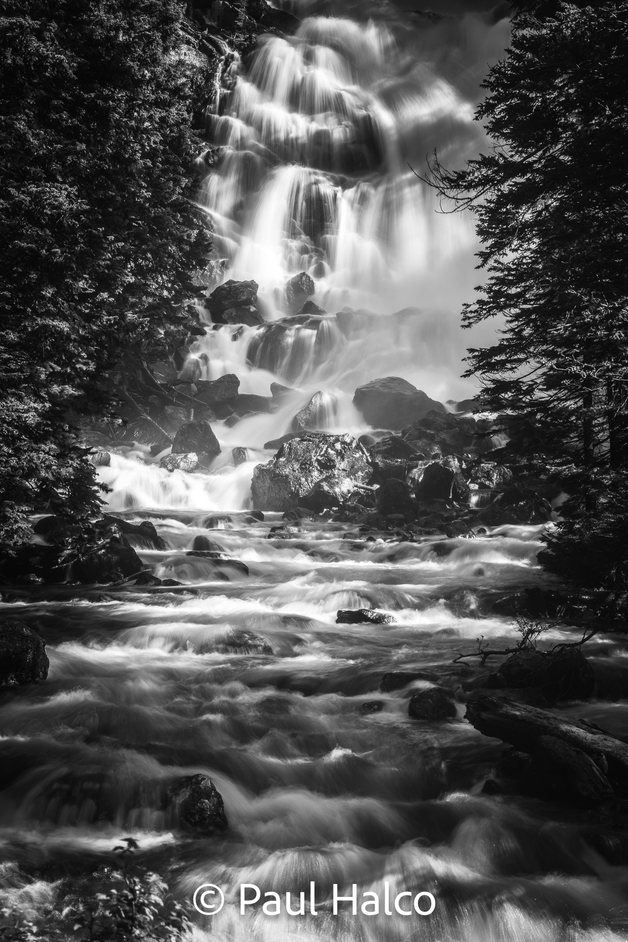 Paul Halco - Grand Tetons-14